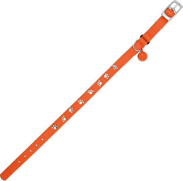Royalist PC-11 Pati Baskılı Kedi-Köpek Tasması 10mm*30cm Turuncu - Image 1