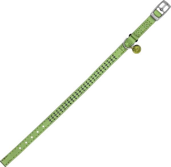 Royalist PC-13 Taşlı Kedi-Köpek Tasması 10mm*30cm Yeşil - Image 1