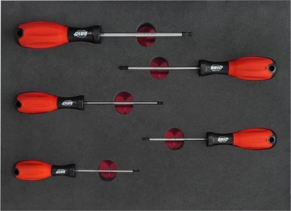 Brio Tornavida Seti Torx (Tork) 5 Parça T10-T30 Sünger Yataklı - Image 1