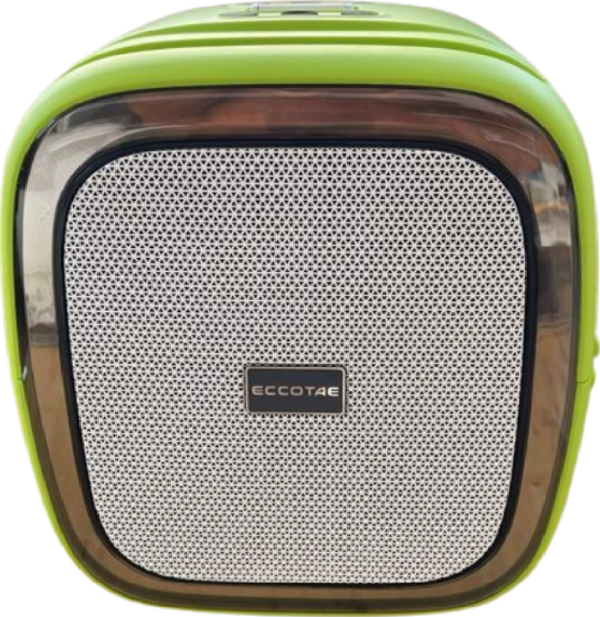 Taşınabilir Ses Bombası Mikrofonlu 100 Watt - Image 1