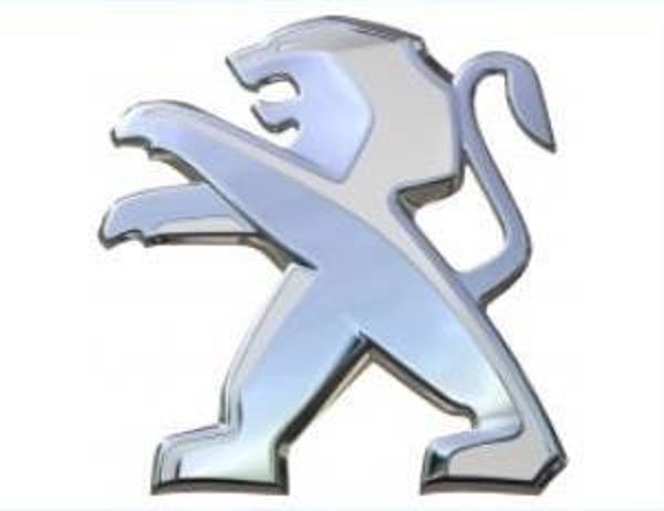 PEUGEOT 3008  BAGAJ KAPUT ASLAN ARMASI   98179002DX - Image 1