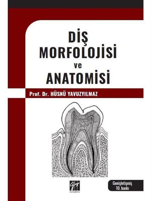 Diş Morfolojisi ve Anatomisi - Gazi Kitabevi - Image 1