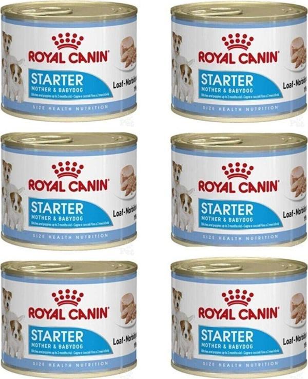 Royal Canin Starter Mousse Yavru Köpek Konservesi 195 Gr - 6 Adet - Image 1