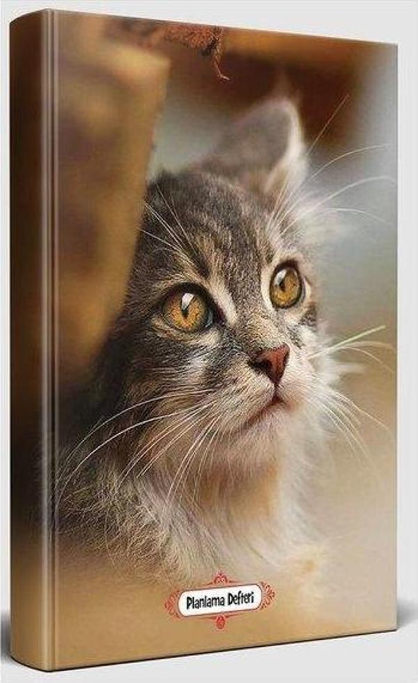 Halk Kitabevi Halk Minik Kedi Planlama Defteri - Image 1