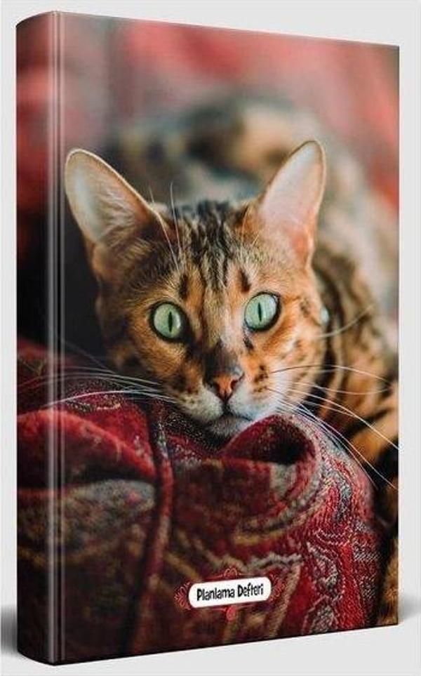 Halk Kitabevi Halk Şaşkın Kedi Planlama Defteri - Image 1