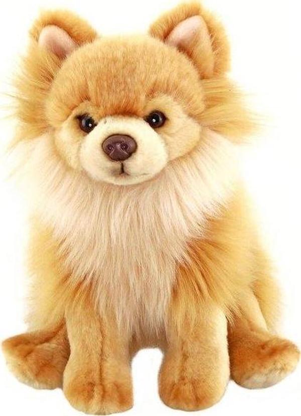 Animals Of The World Floppy Pomeranian Peluş Oyuncak 28 cm - Image 1