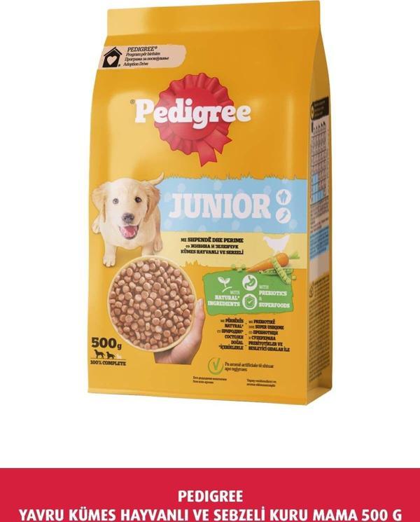 Pedigree Yavru Tavuklu Kuru Mama 500 G - Image 1