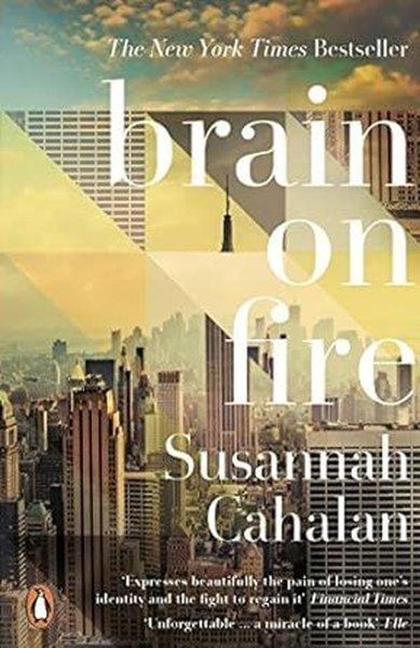 Brain On Fire: My Month of Madness - Penguin Books Ltd - Image 1