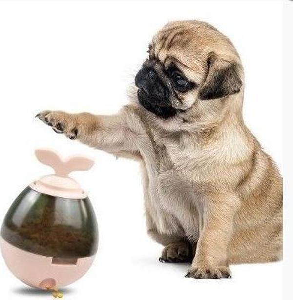 Nunbell Yavru Köpek Eğitim Oyuncağı - Image 1
