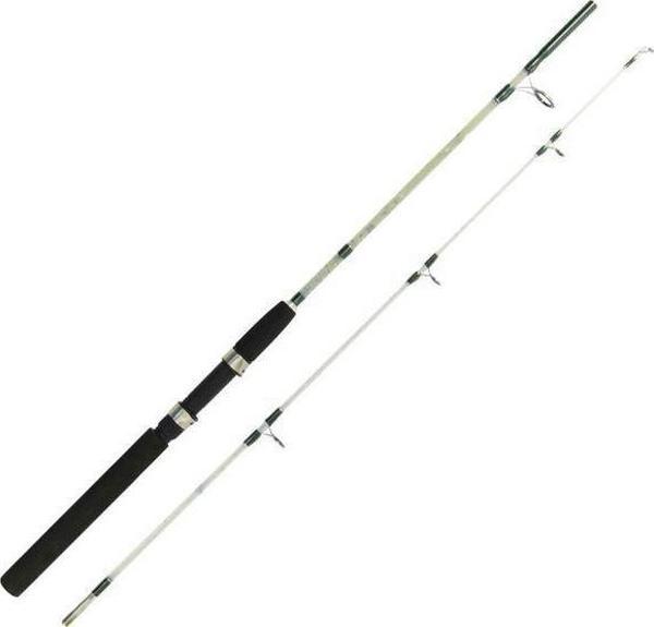 Pacific 1.20 mt İki Parça Dolgu Kamış Mavi 20-40 gr - Image 1