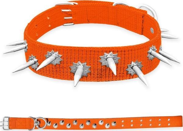 Savex Dokuma Çivili Köpek Boyun Tasması Turuncu 5*80 cm - Image 1