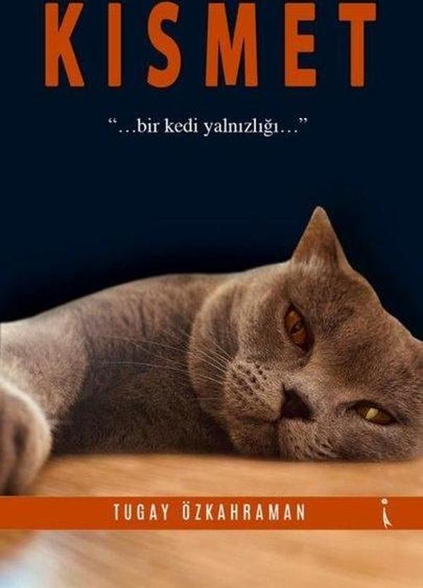 Kısmet - Bir Kedi Yalnızlığı - İkinci Adam Yayınları - Image 1