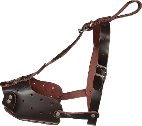 Orta ve iri Irk Deri Ayarlanabilir Köpek Ağızlığı Kahverengi XLarge 33 cm - Image 1