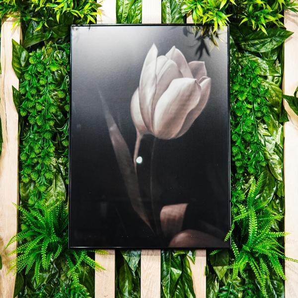 Magic Home Fester Tomurcuk Lale 50 X 70 Tablo 031 - Image 1