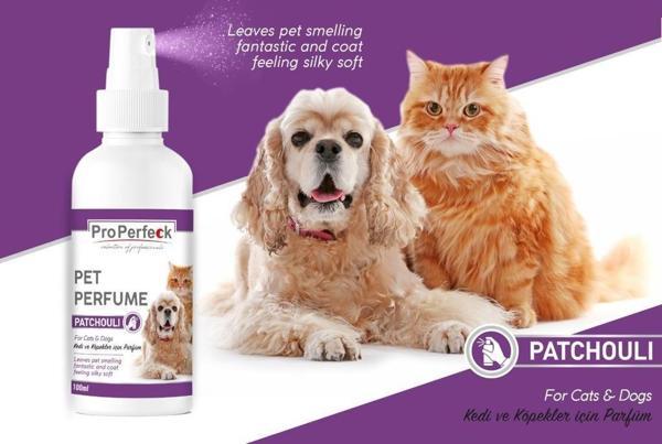 Pro Perfeck Kedi Ve Köpek Paçuli Parfüm 100 ml - Image 1