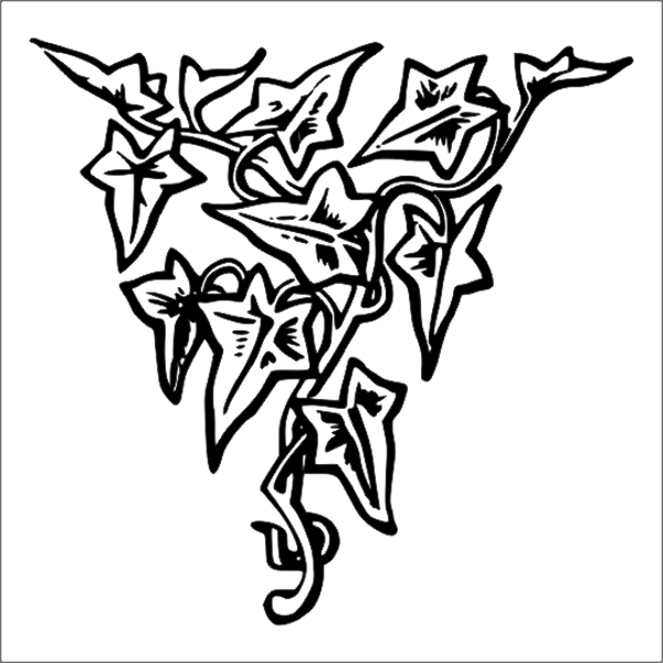 AĞAÇ VE GÜL RESİMLERİ FOLYO STİCKER 200cm Uzunluk - Image 1