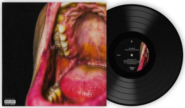 değer Kamufle ?– Tüm Suç Ritimlerin Vinyl, Album, Lp, Reissue Plak - Image 1