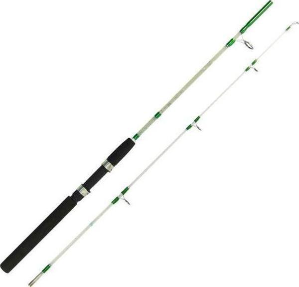 Pacific 1.20 mt İki Parça Dolgu Kamış Yeşil 20-40 gr - Image 1