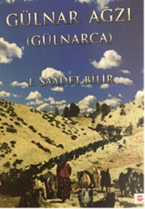Gülnar Ağzı - E Yayınları - Image 1