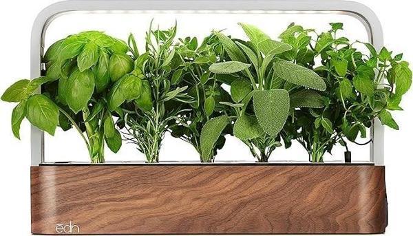 Edn Bitkiler ve Çiçekler için İç Mekanda Yetiştirme Akıllı Bahçe Başlangıç ​​Seti - Image 1