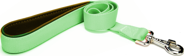 Markapet Köpek Gezdirme Kayışı 2 cm x 115 cm Yeşil - Image 1