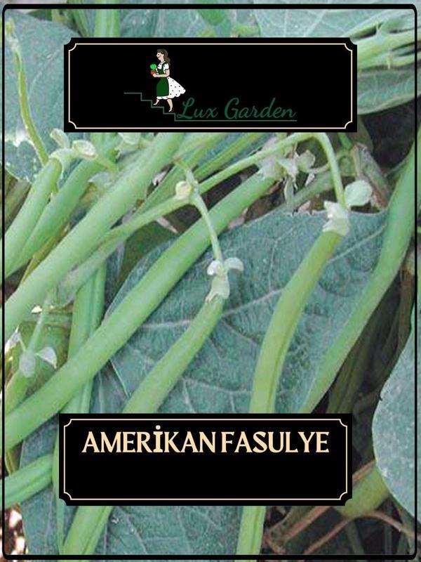 Lux Garden Amerikan Atlantis Fasulye Tohumu 15 Adet - Image 1