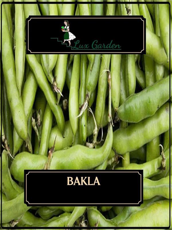 Lux Garden Bakla Tohumu 5 Adet - Image 1