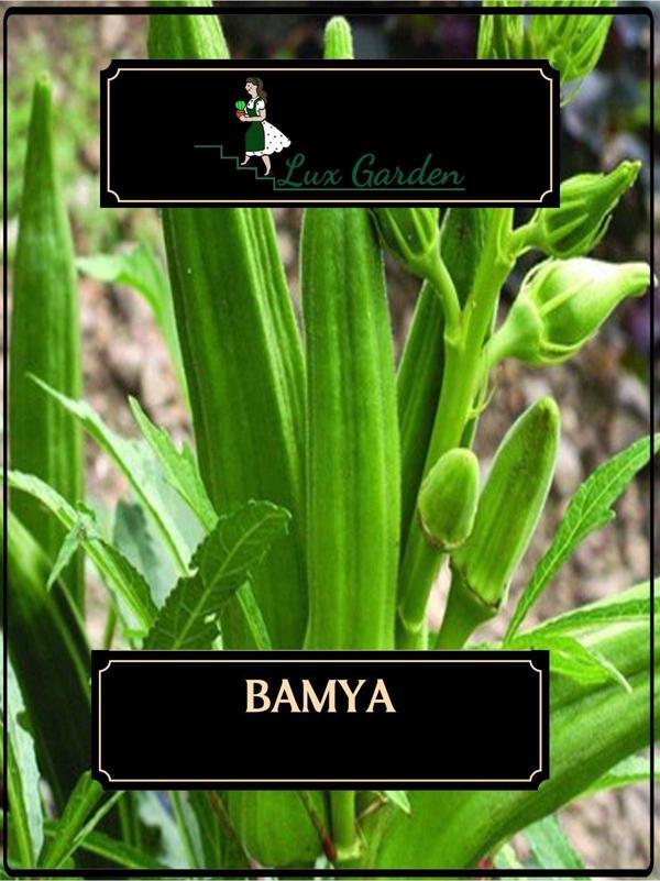Lux Garden Bamya Tohumu 16 Adet - Image 1