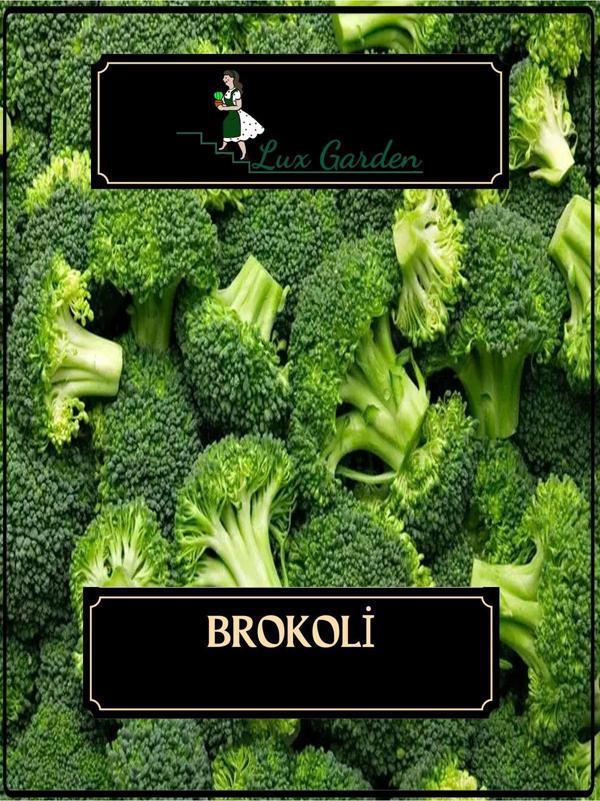 Lux Garden Brokoli Tohumu 6 Adet - Image 1