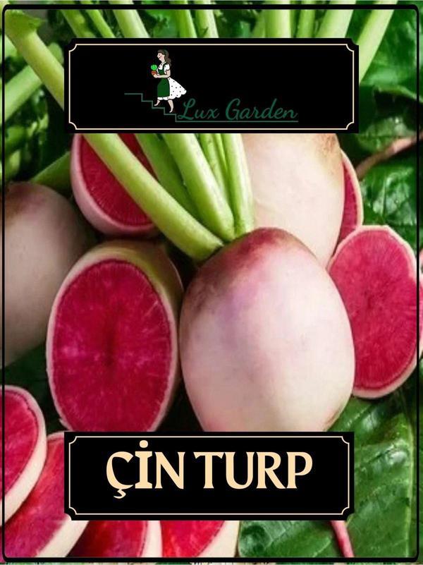Lux Garden Çin Turp Tohumu 40 Adet - Image 1