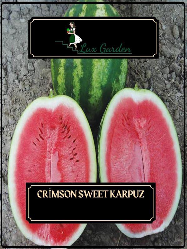 Lux Garden Crimson Sweet Karpuz Tohumu 10 Adet - Image 1
