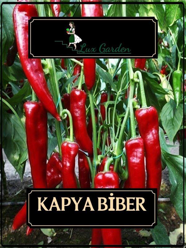 Lux Garden Kapya Biber Tohumu 110 Adet - Image 1
