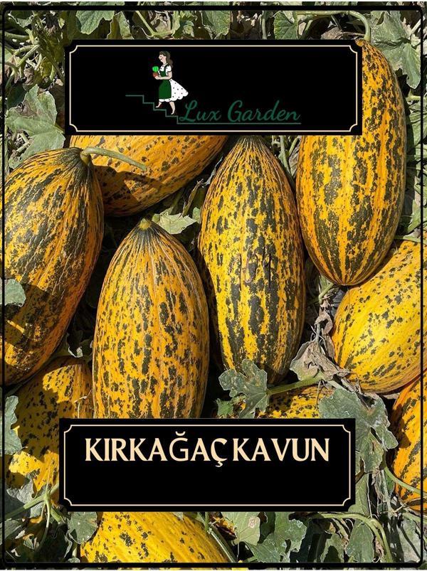 Lux Garden Kırkağaç Kavun Tohumu 20 Adet - Image 1