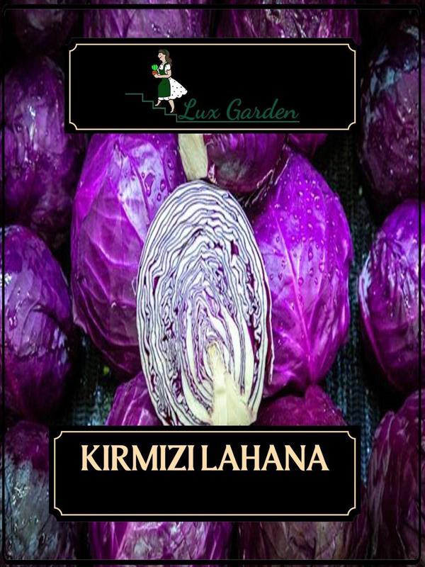 Lux Garden Kırmızı Lahana Tohumu 120 Adet - Image 1