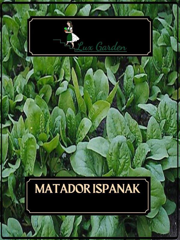 Lux Garden Matador Ispanak Tohumu 40 Adet - Image 1