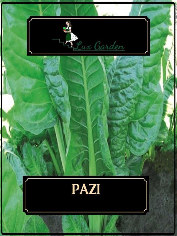 Lux Garden Pazı Tohumu 40 Adet - Image 1