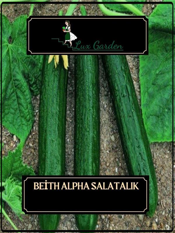 Lux Garden Salatalık Tohumu 20 Adet - Image 1