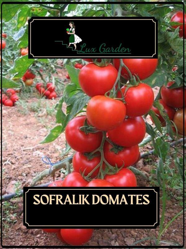 Lux Garden Sofralık Domates Tohumu 70 Adet - Image 1