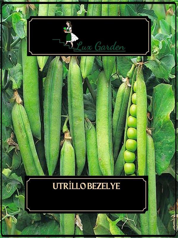 Lux Garden Utrillo Bezelye Tohumu 4 Adet - Image 1