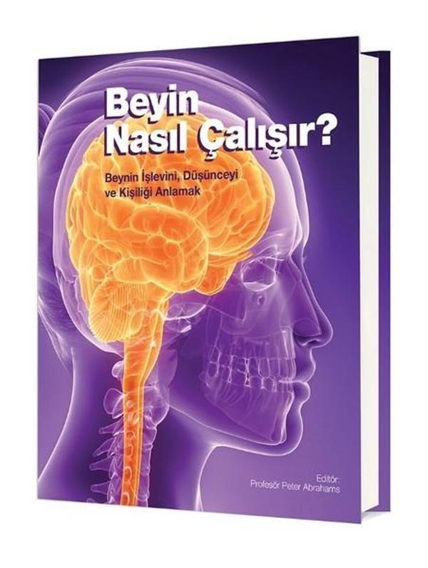 Beyin Nasıl Çalışır? - Odtü - Image 1