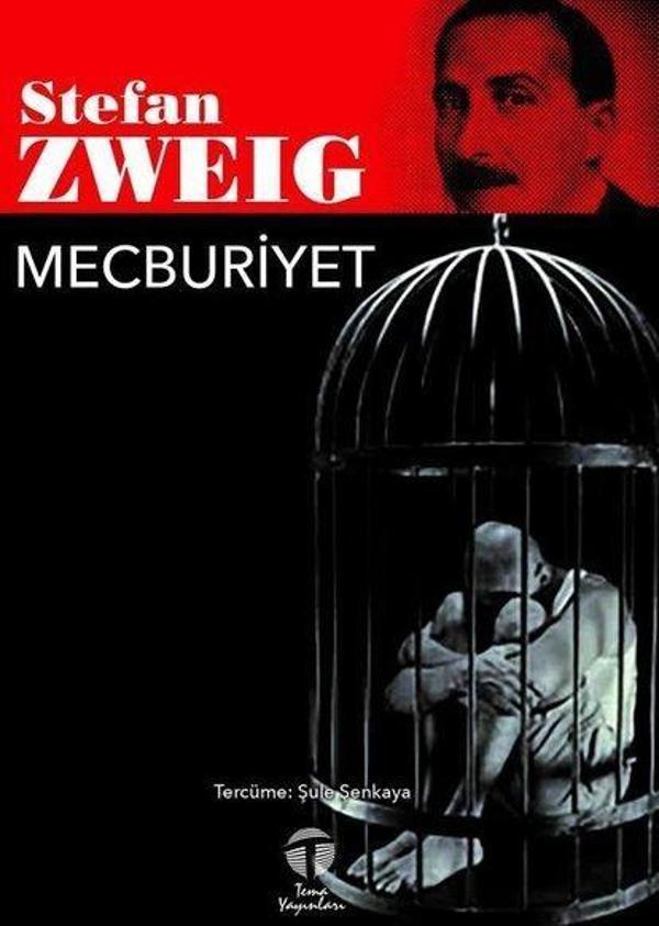 Mecburiyet - Tema Yayınları - Image 1