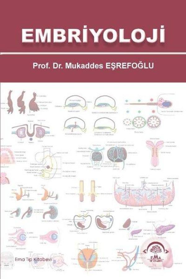 Embriyoloji - Ema Tıp Kitabevi - Image 1