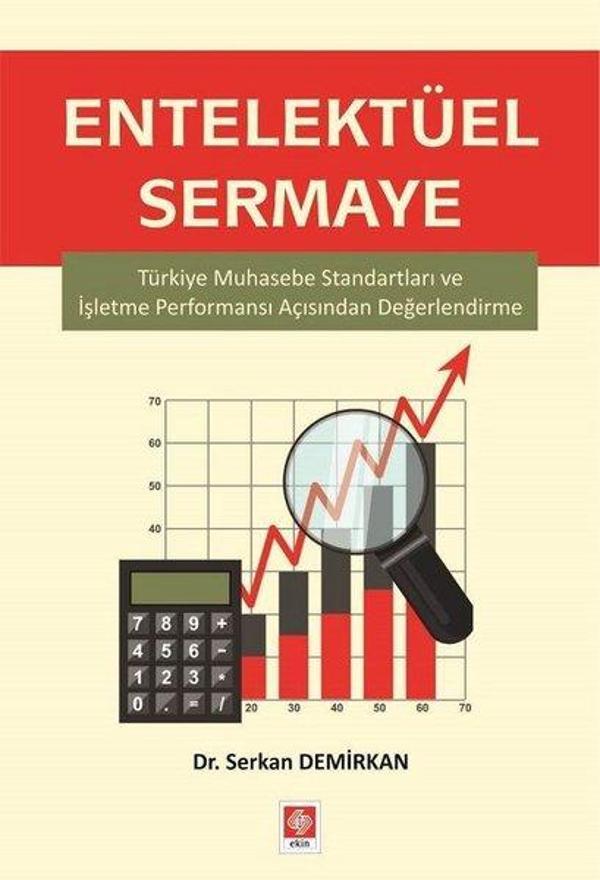 Entelektüel Sermaye - Ekin Basım Yayın - Image 1