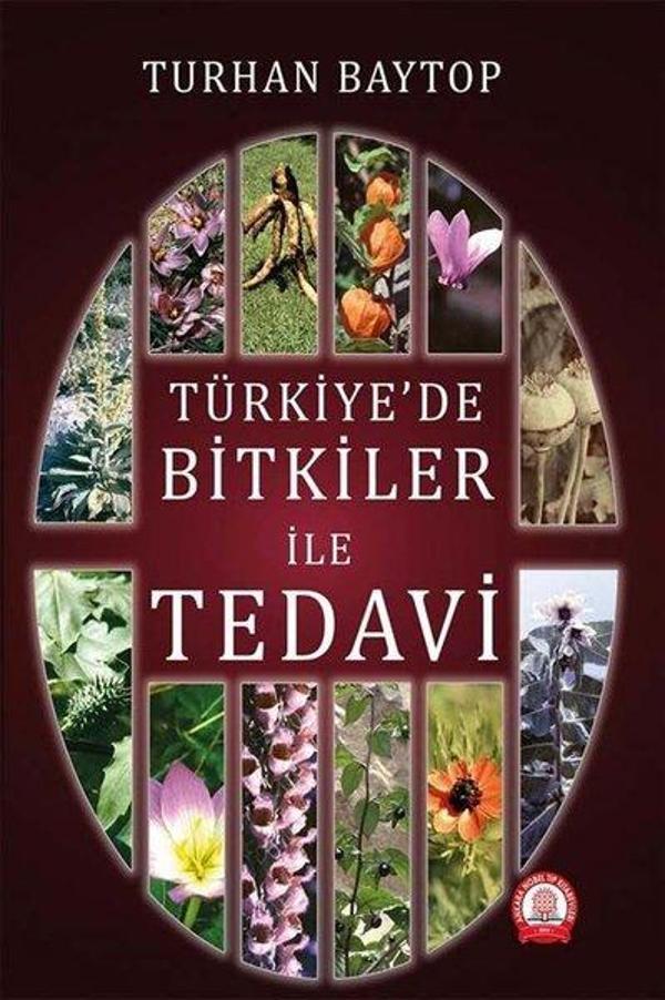 Türkiye'de Bitkiler ile Tedavi - Ankara Nobel Tıp - Image 1