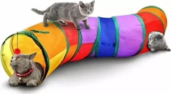 Kedi Oyun Tüneli - Image 1