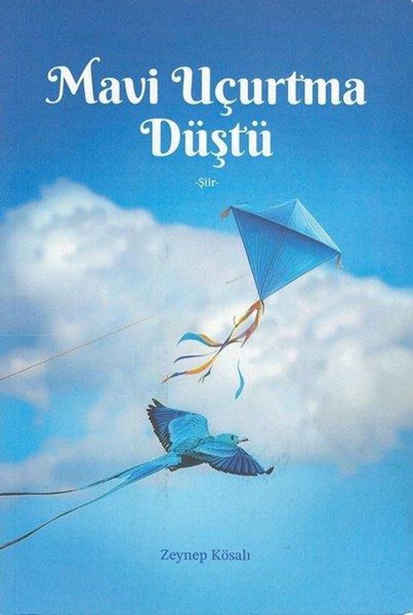 Mavi Uçurtma Düştü - Akdoğan Yayınevi - Image 1