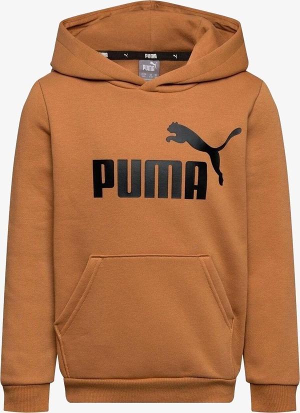 Puma Ess Big Logo Hoodie Kahverengi Erkek Sweatshırt - Image 1