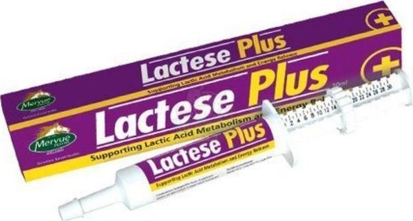 Equine Lactese Plus 30 ml - Image 1