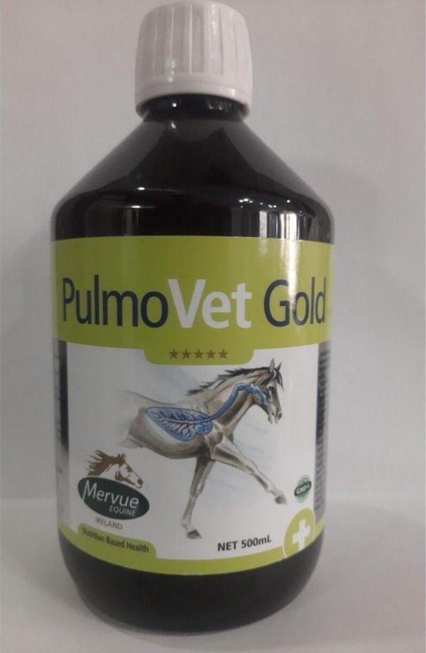 Equine Pulmovet Gold 500 Mg - Image 1