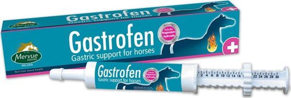 Mervue Equine Gastrofen Pasta 80 ml - Image 1
